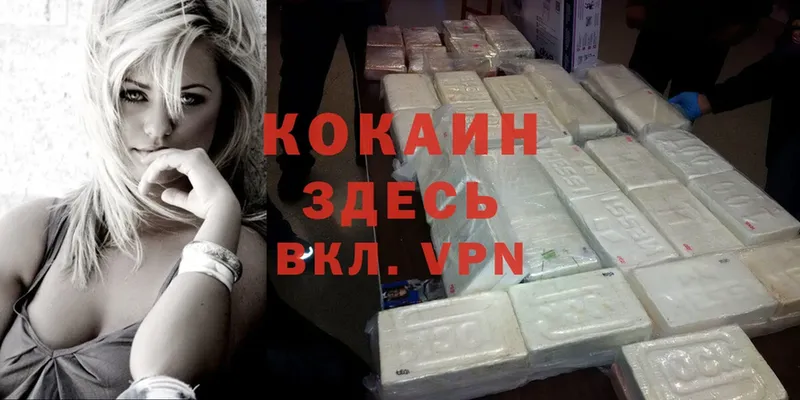 как найти закладки  Гатчина  Cocaine 99% 